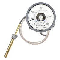 Термометр манометрический показывающий электроконтактный ТКП-160Эк